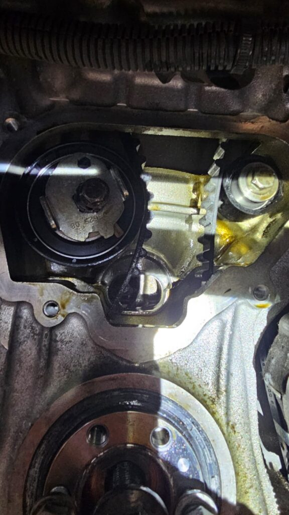 7 Telltale Signs Your Wet Belt Is Failing (And Why You Must Act Now) img 20251009 wa0020